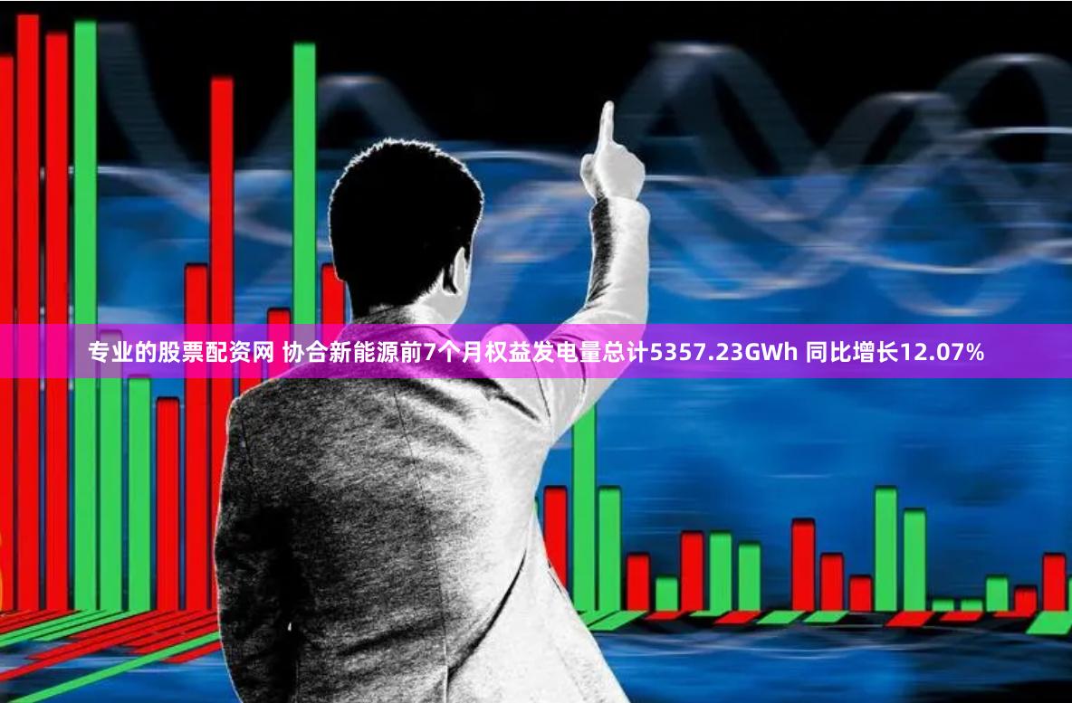 专业的股票配资网 协合新能源前7个月权益发电量总计5357.23GWh 同比增长12.07%