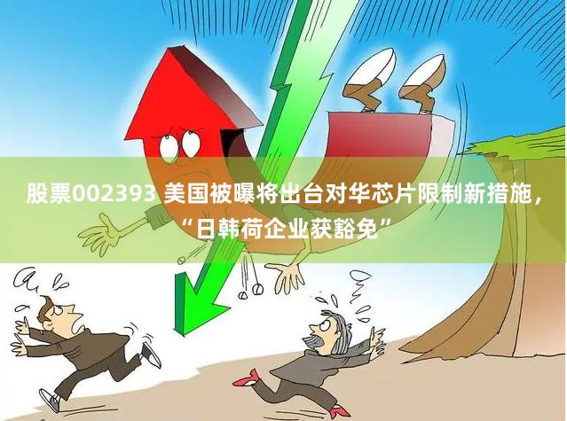股票002393 美国被曝将出台对华芯片限制新措施，“日韩荷企业获豁免”