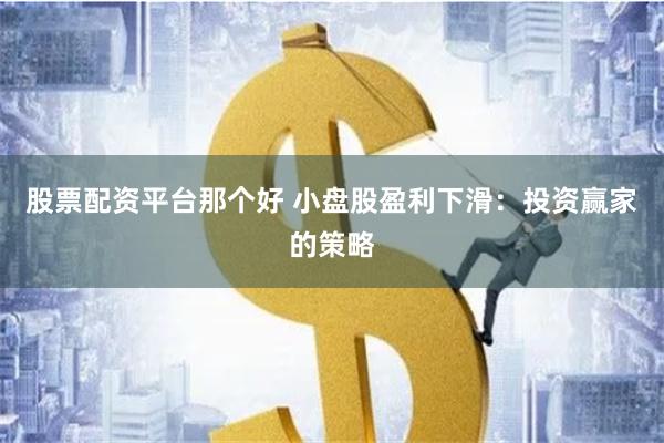 股票配资平台那个好 小盘股盈利下滑：投资赢家的策略