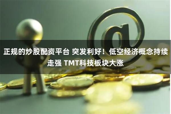 正规的炒股配资平台 突发利好！低空经济概念持续走强 TMT科技板块大涨