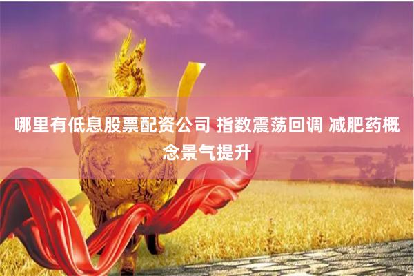 哪里有低息股票配资公司 指数震荡回调 减肥药概念景气提升