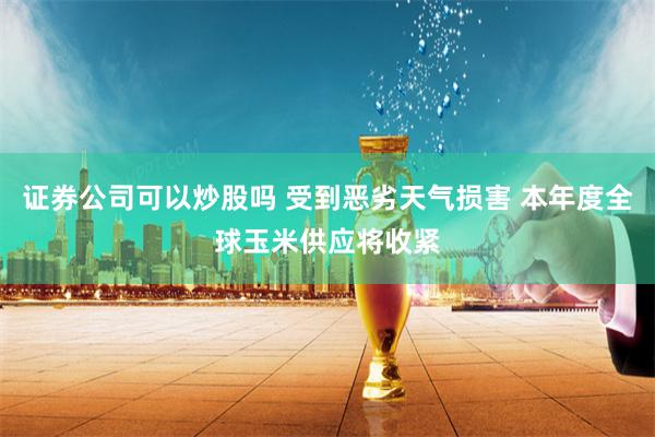 证券公司可以炒股吗 受到恶劣天气损害 本年度全球玉米供应将收紧